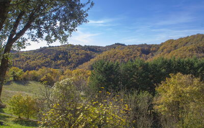 A Il Frassino del Borgo di Ghiora