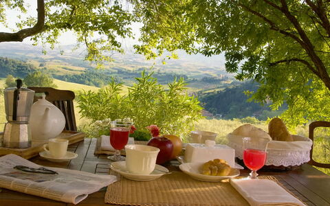 Novellina: Tableware, Furniture, Table, Food, Drinkware, Tablecloth, Serveware, Dishware, Plate, Breakfast