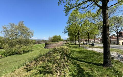Al Civico 80: Sky, Grass, Tree, Green, Nature, Leaf, Branch, Natural Landscape, Grassland