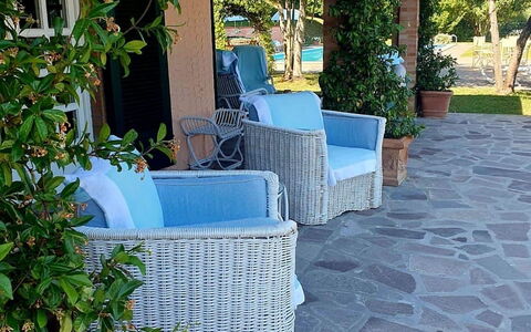 Casa Mia: Furniture, Outdoor Furniture, Shade, Chair, Flowerpot, Flooring, Flagstone, Outdoor Table, Garden, Landscaping