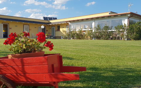 Appartamento Ibisco Seaside and Pool: Lawn, Garden, Shade, Yard, Chair, Landscaping, Outdoor Furniture, Backyard, Flowerpot, Houseplant