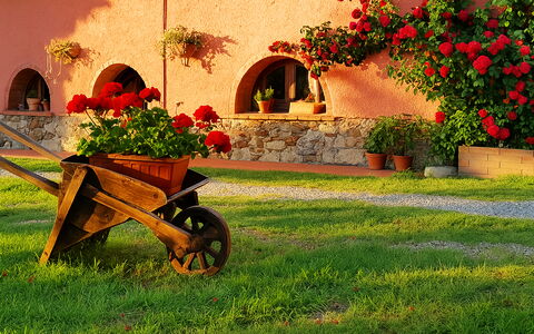 Appartamento Ibisco Seaside and Pool: Garden, Landscaping, Yard, Flowerpot, Backyard, Hacienda, Houseplant