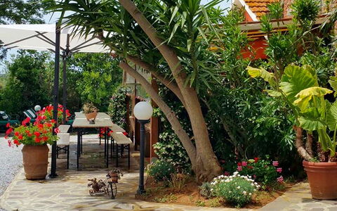 Appartamento Lavanda Seaside and Pool: Green, Flowerpot, Garden, Furniture, Shade, Outdoor Furniture, Backyard, Houseplant, Chair