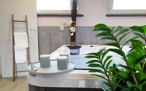 Appartamento Lavanda Seaside and Pool: Interior Design, Flooring, Floor, Plumbing Fixture, Plumbing, Houseplant, Tap, Flowerpot, Bathroom, Natural Material