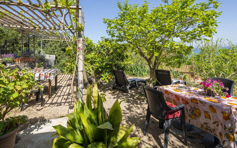 La Torre sul Ponte, Seaview, Garden: Green, Shrub, Furniture, Garden, Table, Outdoor Furniture, Chair, Outdoor Table, Spring