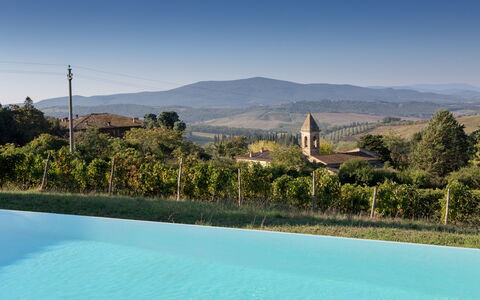 Podere Sangiovese, Pool and View in Chianti: Swimming Pool, Eco Hotel, Hacienda, Resort, Villa