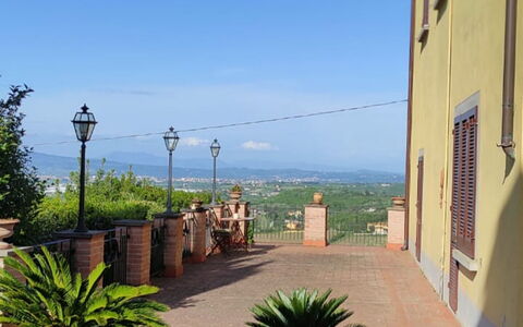 Villa Luce San Miniato: Flowerpot, Houseplant