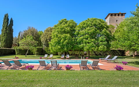 Medieval Castle Living: Vineyards, Swimming Pool &: Shrub, Garden, Estate, Hacienda, Lawn, Landscaping, Plantation, Hedge, Courtyard, Park