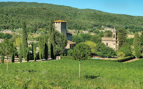 Medieval Castle Living: Vineyards, Swimming Pool &: Vegetation, Shrub, Land Lot, Plant Community, Rural Area, Plantation, Hill Station, Garden, Village, Estate