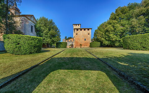 Medieval Castle Living: Vineyards, Swimming Pool &: Shrub, Garden, Estate, Lawn, Hedge, Landscaping, Castle, Park, Evergreen, Mansion