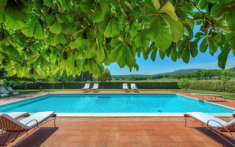 Medieval Castle Living: Vineyards, Swimming Pool &: Garden, Shade, Resort, Eco Hotel, Swimming Pool, Hacienda, Outdoor Furniture, Plantation, Villa, Farmhouse