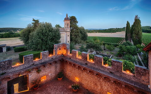 Medieval Castle Living: Vineyards, Swimming Pool &: Landscape, Castle, Estate, Garden, Historic Site, Medieval Architecture, Fortification, Palace, Mansion