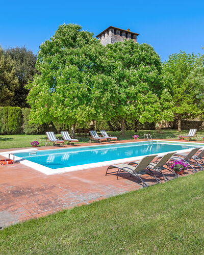 Medieval Castle Living: Vineyards, Swimming Pool &: Tree, Shrub, Garden, Lawn, Estate, Plantation, Swimming Pool, Park, Landscaping, Hacienda