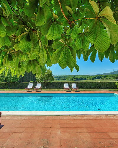 Medieval Castle Living: Vineyards, Swimming Pool &: Garden, Shade, Resort, Eco Hotel, Swimming Pool, Hacienda, Outdoor Furniture, Plantation, Villa, Farmhouse