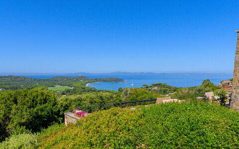 Montparnasse: Sky, Blue, Green, Vegetation, Horizon, Shrub, Plant Community, Sea, Coastal And Oceanic Landforms, Ocean