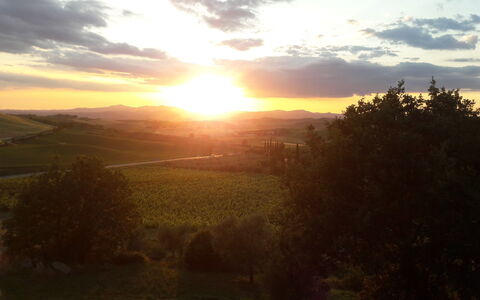 Podere Peteglia: Sun, Horizon, Nature, Sunset, Natural Landscape, Sunrise, Afterglow, Hill, Landscape, Dusk