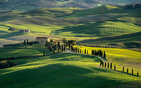 Il Gallinaio, Vivo D'Orcia: Grass, Natural Landscape, Hill, Grassland, Landscape, Highland, Field, Plain, Rural Area, Meadow