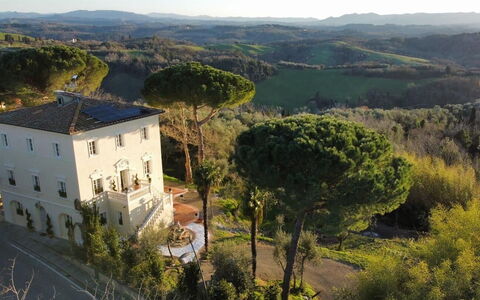 Villa Elisa: Residential Area, House, Architecture, Shrub, Landscape, Estate, Home, Human Settlement, Mansion, Hacienda