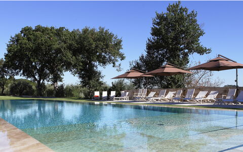 Poggio Mori 20: Swimming Pool, Water, Tree, Reflection, Outdoor Furniture, Resort, Water Feature, Garden, Sunlounger, Shade