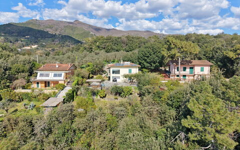 Villa Il Giardino: Vegetation, Rural Area, Hill, Landscape, Residential Area, House, Highland, Plant Community, Home, Hill Station