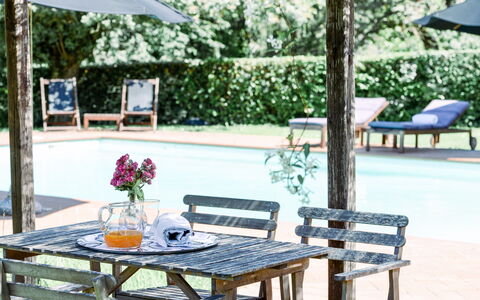 Fattoria: Furniture, Outdoor Furniture, Outdoor Table, Chair, Shade, Garden, Flowerpot, Leisure, Backyard, Outdoor Bench