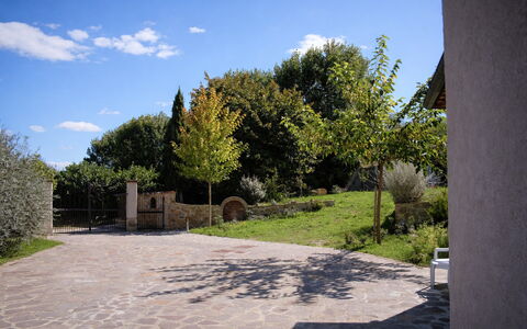 Villa Montepulciano Vineyard: Shrub, Garden, Flagstone, Shade, Driveway, Landscaping, Walkway, Backyard, Yard