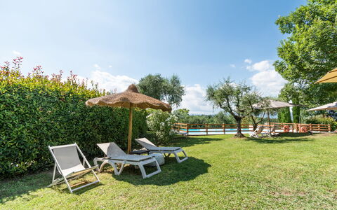 Agriturismo le Due Querce: Swimming Pool, Outdoor Furniture, Resort, Garden, Sunlounger, Eco Hotel, Lawn, Shade, Estate, Leisure