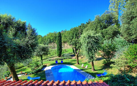 Villa Ulivacci: Blue, Garden, Swimming Pool, Lawn, Shade, Backyard, Landscaping, Park, Yard, Outdoor Furniture