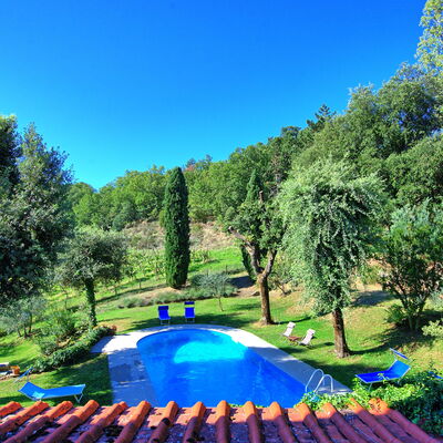 Villa Ulivacci: Blue, Garden, Swimming Pool, Lawn, Shade, Backyard, Landscaping, Park, Yard, Outdoor Furniture