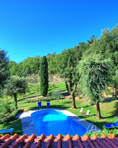 Villa Ulivacci: Blue, Garden, Swimming Pool, Lawn, Shade, Backyard, Landscaping, Park, Yard, Outdoor Furniture