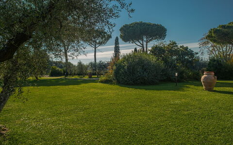 Villa Bolgheri Vermentino Castagneto Carducci: Grass, Nature, Leaf, Garden, Landscape, Shrub, Land Lot, Trunk, Lawn, Landscaping