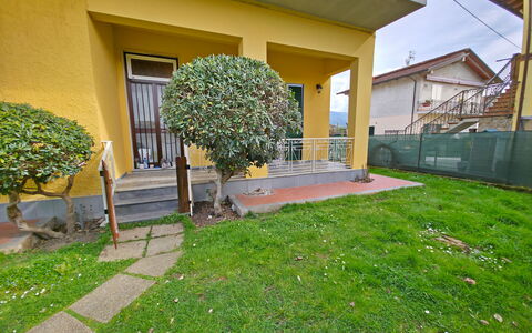 Casa Serena: Shrub, Garden, Lawn, Yard, Backyard, Landscaping, Shade, Hedge, Courtyard, Walkway