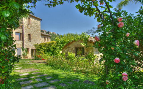 Villa Incanto: Flower, Shrub, Garden, Petal, Spring, Landscaping, Herbaceous Plant, Backyard, Yard, Rose Family