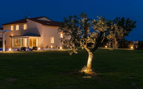 Villa Monsummano: Blue, Home, Garden, Lawn, Dusk, Evening, Yard, Estate, Night, Backyard