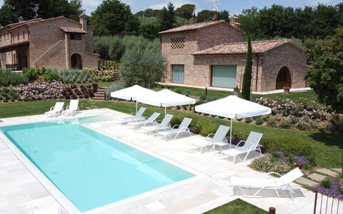 Villa Ripa: Swimming Pool, Outdoor Furniture, Resort, Garden, Estate, Landscaping, Sunlounger, Lawn, Backyard, Hacienda