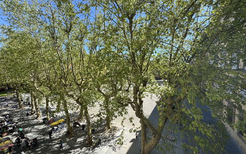 Casa Anna 13: Branch, Leaf, Tree, Twig, Trunk, Spring, Woody Plant, Shade