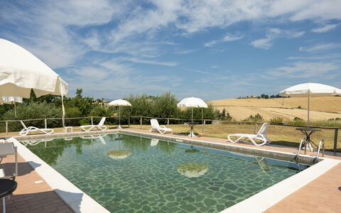 Il Giuncheto Apartments, Pool, Umbrian Countryside: Swimming Pool, Outdoor Furniture, Chair, Sunlounger, Landscaping, Resort, Villa, Umbrella