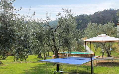 Il Casale di San Jacopo con Piscina Privata: Garden, Lawn, Shade, Outdoor Furniture, Backyard, Park, Yard, Landscaping