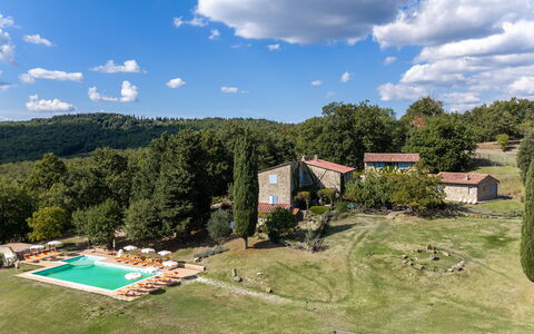 Casa Stella Serena, Casole D'Elsa, Pool: Tree, Landscape, Grassland, Plain, Land Lot, Rural Area, Estate, Meadow, Cottage, Lawn