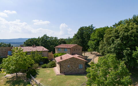 Casa Stella Serena, Podere le Scopaie, Pool: Tree, Rural Area, Land Lot, Cottage, Estate, Recreation, Village, Meadow, Farmhouse, Park