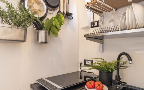 Maison D'Alice: Tableware, Kitchen, Flowerpot, Kitchen Appliance, Houseplant, Countertop, Shelving, Home Appliance, Shelf