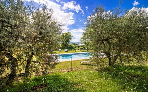 Gli Ulivi: Lawn, Garden, Meadow, Shade, Park, Landscaping
