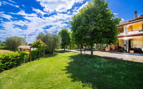 Gli Ulivi: Blue, Land Lot, Lawn, Garden, Estate, Farmhouse, Shade, Yard, Landscaping, Hacienda