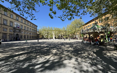 Alla Torre: Tree, Road Surface, Public Space, City, Street, Town Square, Human Settlement, Shade, Plaza