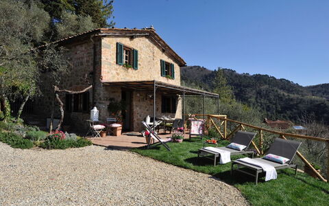 Oliveta: House, Home, Cottage, Rural Area, Farmhouse, Outdoor Furniture, Village, Yard, Backyard, Chair
