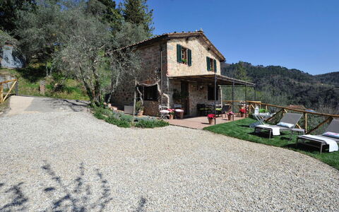 Oliveta: Rural Area, Cottage, Village, Farmhouse, Mountain Village, Driveway, Villa, Backyard