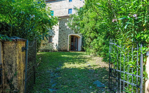 Fibbialla: Shrub, Garden, Backyard, Yard