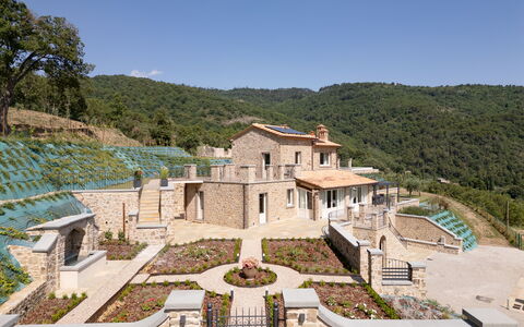 Villa Maddalena alla Guglielmesca: Rural Area, Estate, Cottage, Garden, Landscaping, Village, Villa, Farmhouse, Hacienda, Mansion