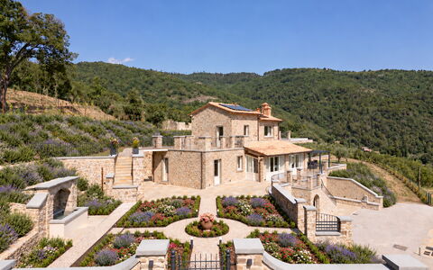 Villa Maddalena alla Guglielmesca: Shrub, Estate, Garden, Landscaping, Cottage, Farmhouse, Villa, Mansion, Village, Hacienda
