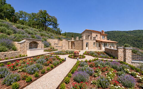 Villa Maddalena alla Guglielmesca: Flower, Garden, Shrub, Plant Community, Groundcover, Landscaping, Botanical Garden, Plantation, Wildflower
